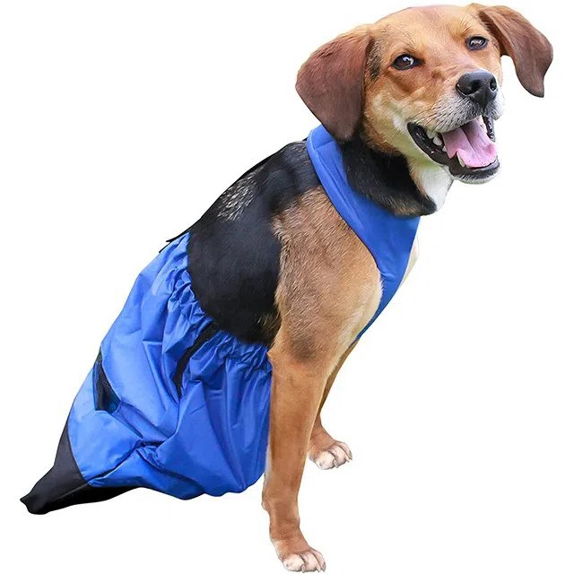 bird-puppy-diaper-bag31411583591