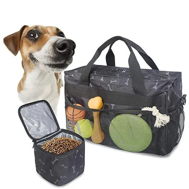 Köttur   Gæludýr   Treat   Poki